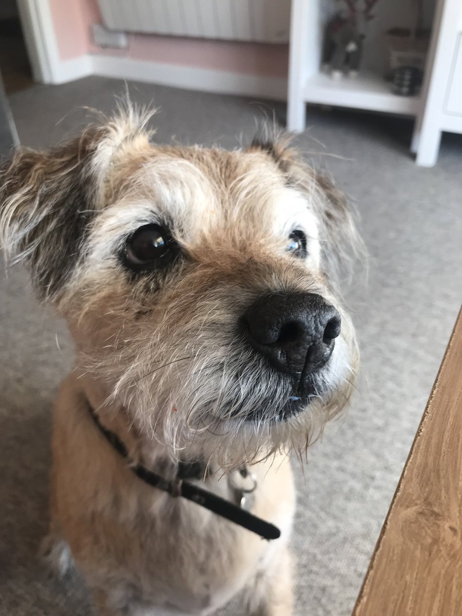 SnoopBT's tweet image. Happy heavenly 19th birthday Snoop! 🌈🎂 #btposse 
Miss you! ❤️