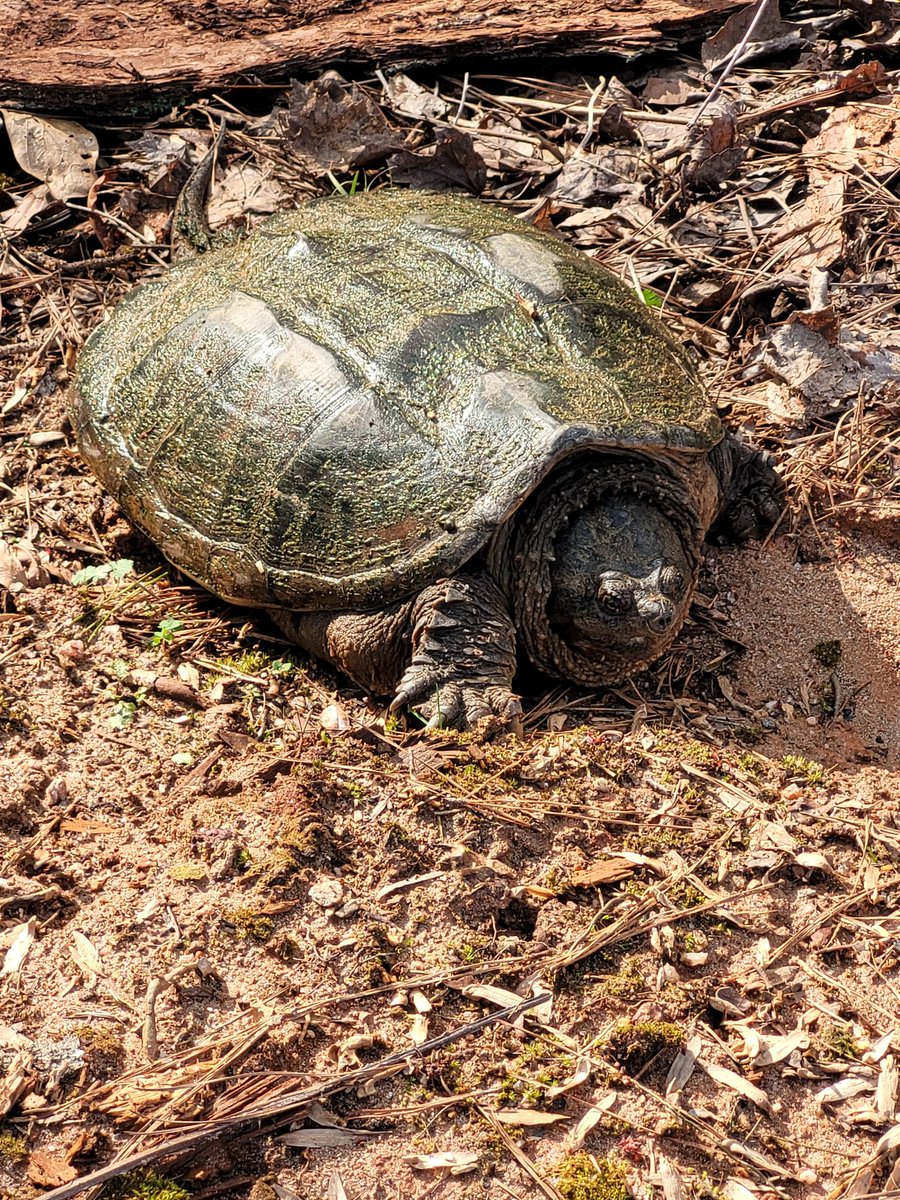 ⏣ PGMELLY ⏣ 🧩🤲 إسلام 🕋 (@pgmelly) on Twitter photo 