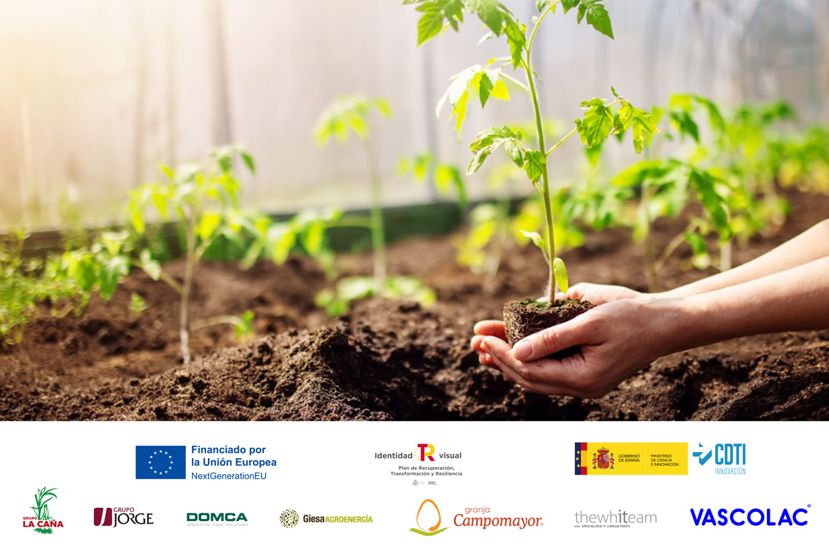 GrupoLaCaña (@grupolca) on Twitter photo ¿Conoces nuestro proyecto de innovación, BIO4ALIM?
Se trata de una plataforma de obtención de bioproductos para generar una cadena agroalimentaria sostenible y preparada para responder a las amenazas y nuevos retos del sector.
¡Somos innovación! 💚🌍 ¿Conoces nuestro proyecto de innovación, BIO4ALIM?
Se trata de una plataforma de obtención de bioproductos para generar una cadena agroalimentaria sostenible y preparada para responder a las amenazas y nuevos retos del sector.
¡Somos innovación! 💚🌍