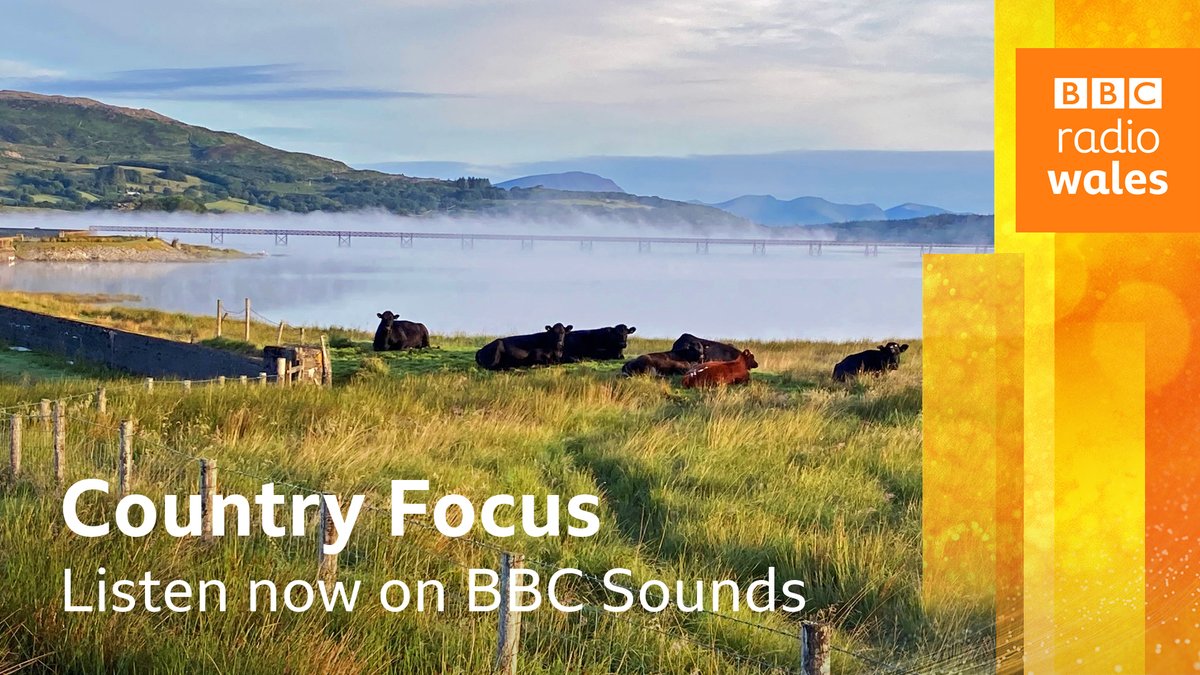 Did you just miss it? #CountryFocus - catch up on BBC Sounds - bbc.in/countryfocus
<a href="/carolineevans10/">caroline evans</a>  <a href="/cardiffsalad/">Cardiff Salad Garden</a>  <a href="/PaulineGSmith/">Pauline Smith</a> <a href="/RSPBCymru/">RSPB Cymru</a> <a href="/NatResWales/">Cyfoeth Naturiol Cymru | Natural Resources Wales</a> <a href="/BTO_Cymru/">BTO Cymru</a> <a href="/birdsinwales/">Welsh Ornithological Society 🏴󠁧󠁢󠁷󠁬󠁳󠁿</a> <a href="/mariclarecj/">Mariclare Carey-Jones</a> <a href="/trileyfieldec/">Triley Equestrian</a> <a href="/BritishHorse/">The British Horse Society</a> <a href="/PodsWales/">Pods of Wales</a>