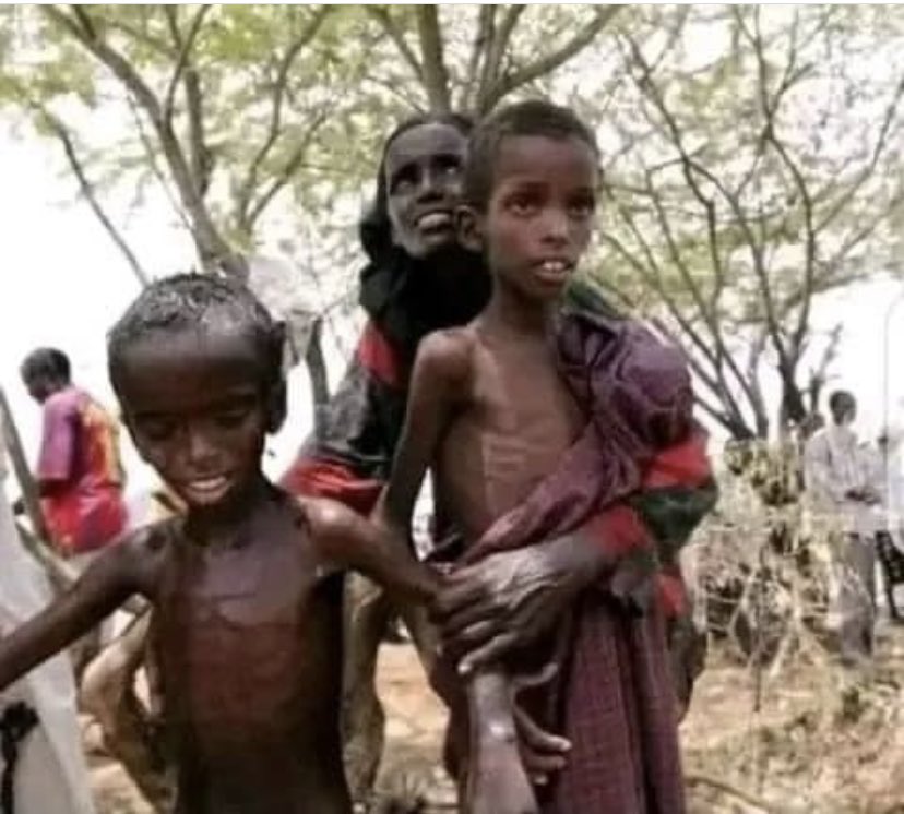 It breaks my heart to see young kids in this situation, struggling with no one to care for them and dying of hunger. I don't know how to help, but I will do whatever I can. 

I ask all of you to join any effort to help Borana.