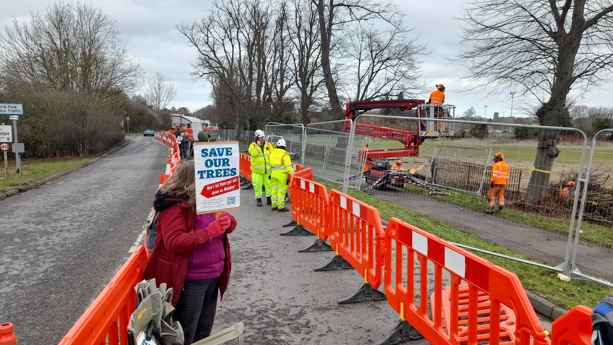 wellyeco's tweet photo. SAVE THE TREES - CHAINSAW MASSACRE 

Six more trees cut down so far taking the total to 8 felled so far, but it looks like several more are getting cut down today. No arrests/no police. Such a terrible day for 100 years of history &amp; nature in Wellingborough, destroying The Walks. https://t.co/lQdEXCPHeR