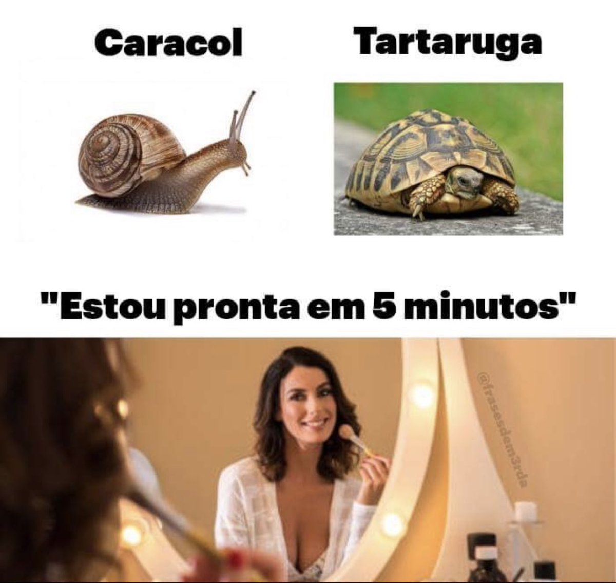 As criaturas mais lentas