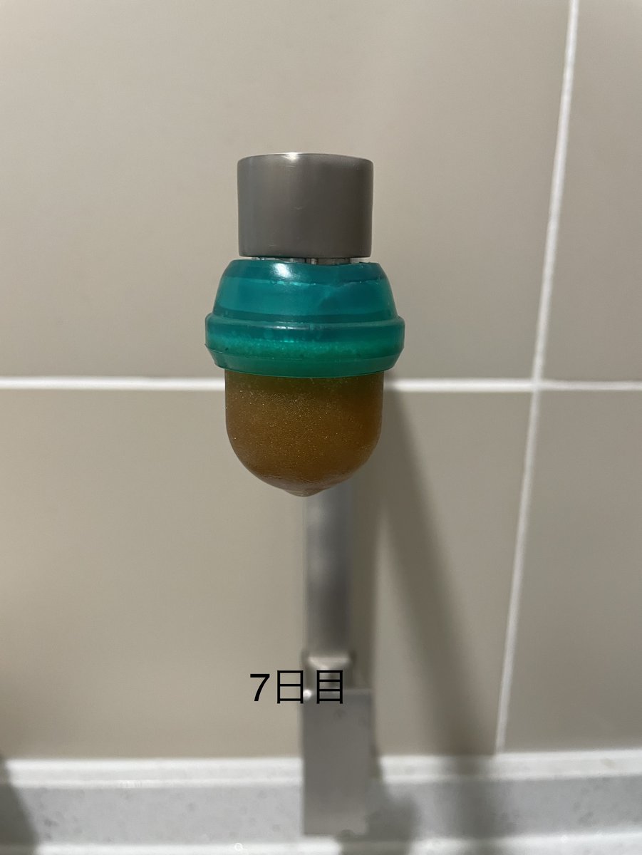 衝撃です。まだ浄水器を設置していない我が家の水道。マレーシア在住の方のブログを参考にして、DAISOのエモいフィルターを我が家も取り付けてみた。たった１週間でここまで色が変化。煮沸すれば飲めると聞いたが、この色を見ると恐怖を感じてしまった。