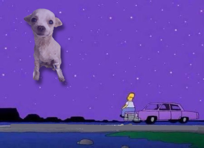 Cómo no va a estar bonito el cielo, si ahí está Pinky 🤍😭