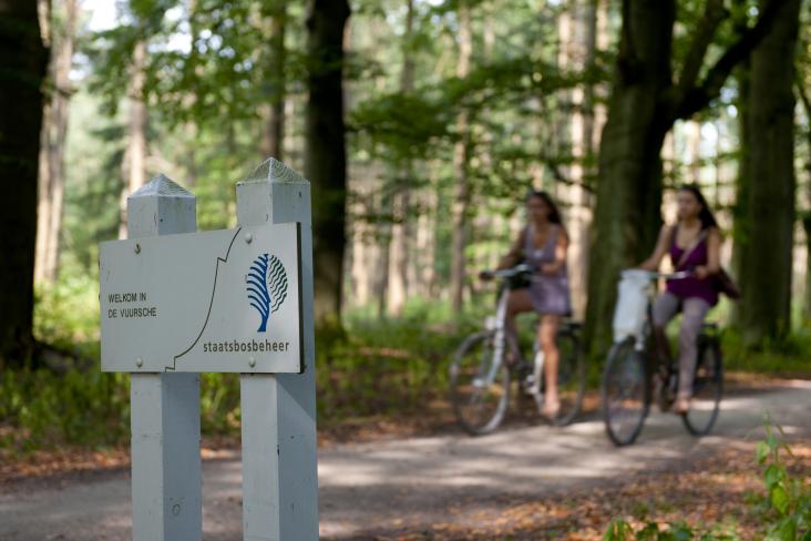 Natuur- en recreatiegebieden in provincie Utrecht scoren gemiddeld een 7,9, blijkt uit onderzoek onder 4.000 bezoekers. bit.ly/3xP1SSs
