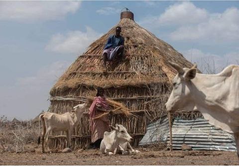 Million Beyene tweet media