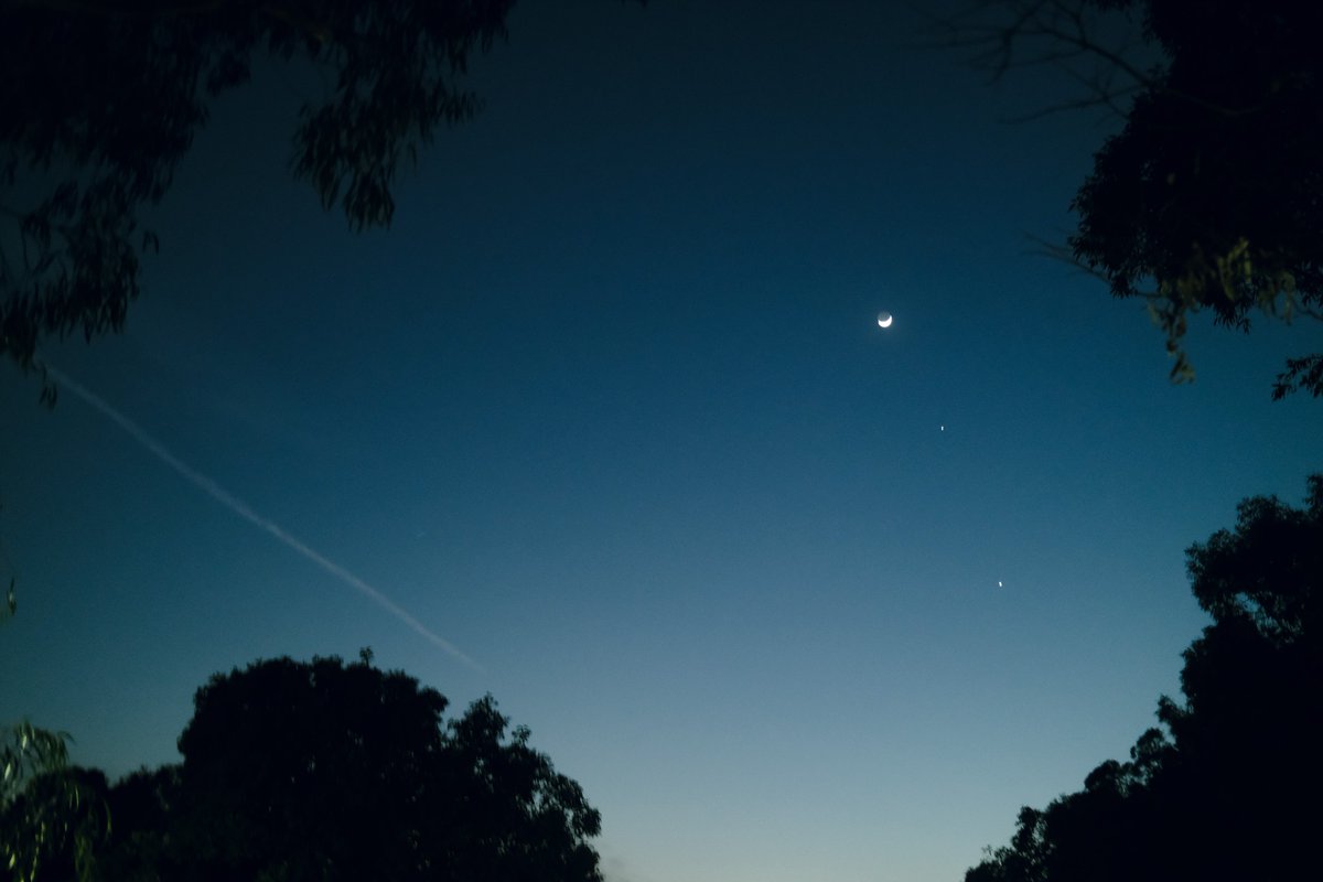 lemon__bato's tweet photo. 今日はとても澄んだ空気
#fujifilm #snapshot #gfx #moon https://t.co/sII9nwqPS7