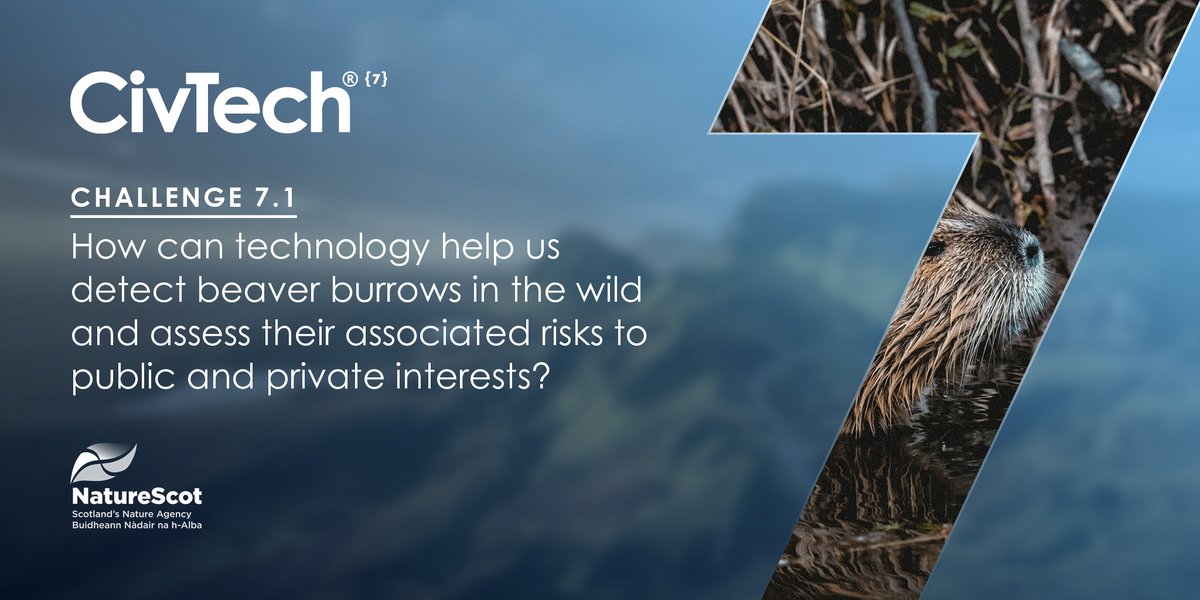 CivTechScotland's tweet image. The second pitch came from @JBAConsulting and @StormGeomatics who developed a web based platform to detect beaver burrows that are potentially problematic to infrastructure and people. Watch their pitch here:  bit.ly/41kZ0dC 
 
#CivTech7 #DemoDay #TechForGood