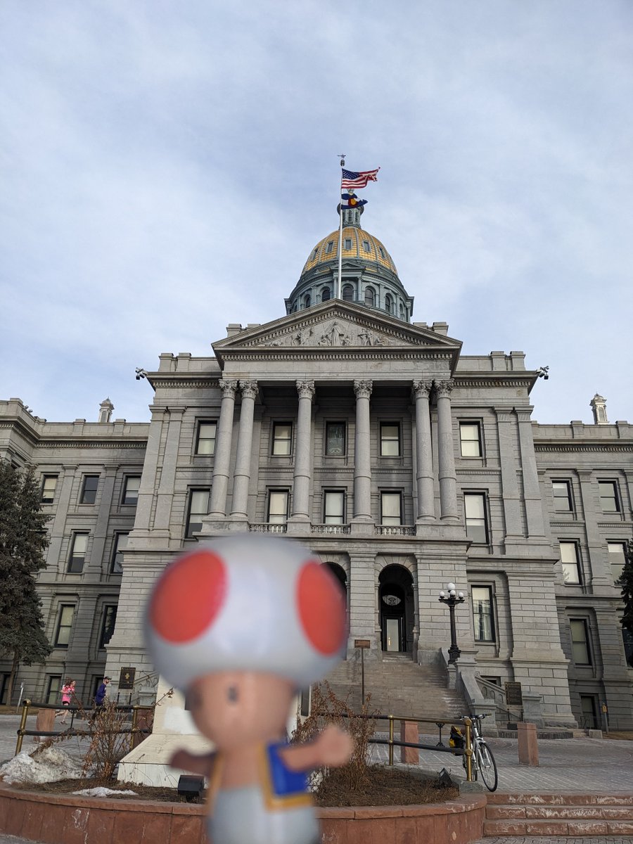 CChalandray's tweet photo. On a joué à la tomate #EPS. On a reçu les photos de TOAD à Denver aux Etats-Unis (merci à la classe d'Agnès). Les CP ont lu le livre "la rivière aux crocodiles" et les CE2 ont travaillé sur le son (in). https://t.co/CAF8gww3kv