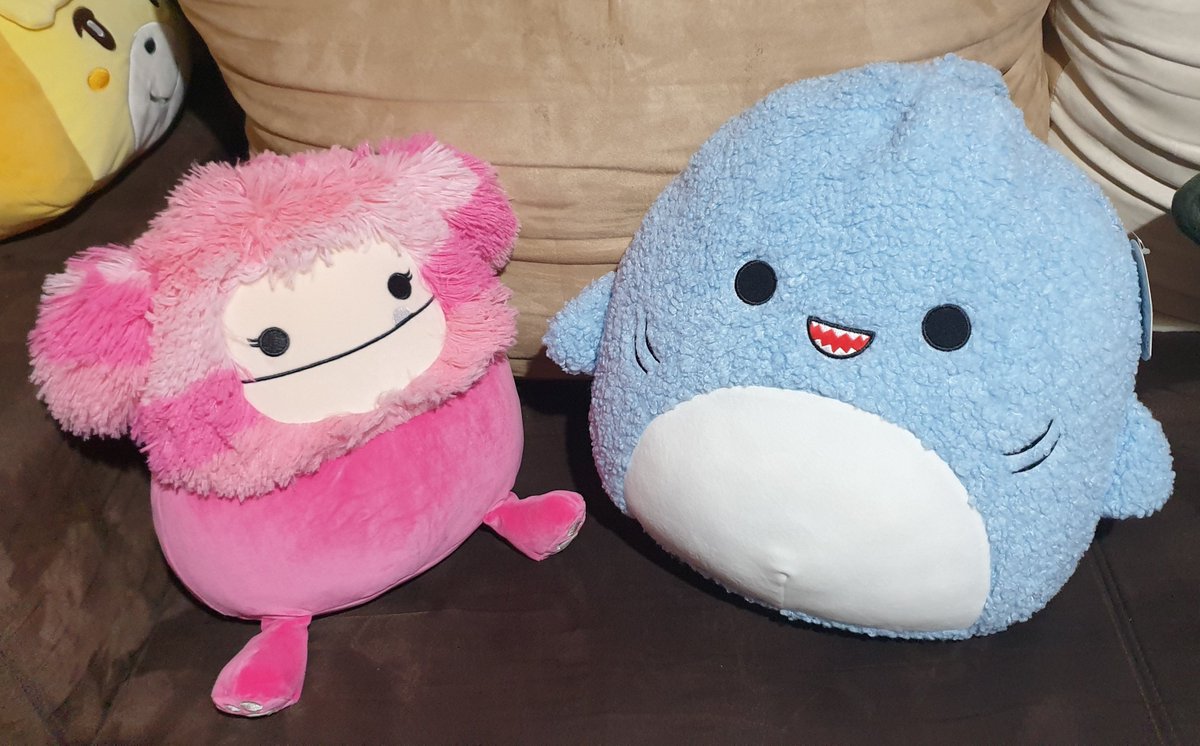 shingojira__'s tweet photo. #squishmail AHHHHHHHHHH 🥰🥰🥰🥰 https://t.co/pkoQvvkD9r