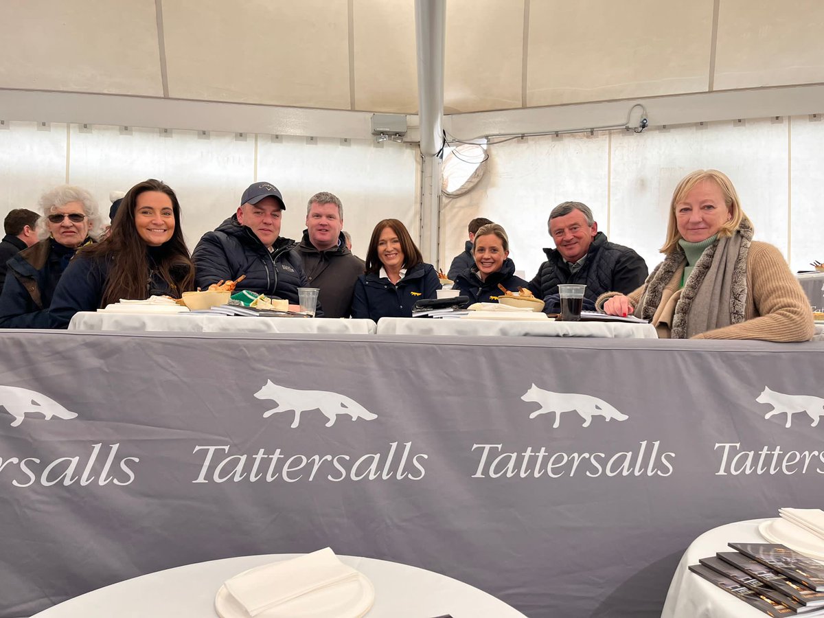 The team are at #CheltenhamFebruary today catching up with clients ahead of Tattersalls Ireland’s Store Sale season commencing 🏇🏻