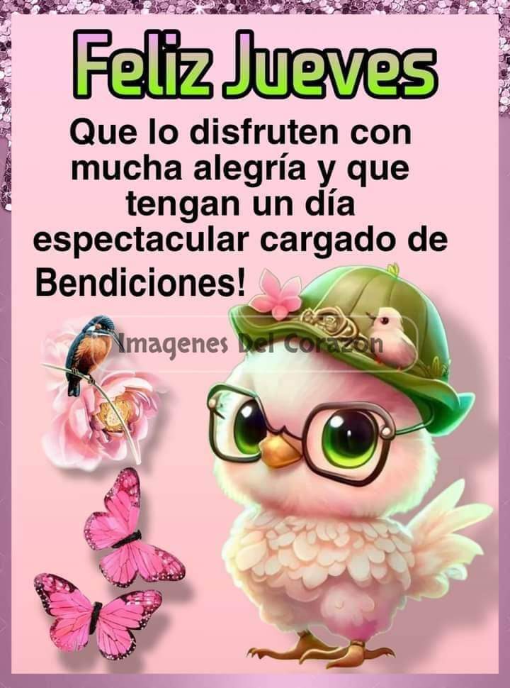 Judith Trejo (@judithth77) on Twitter photo 