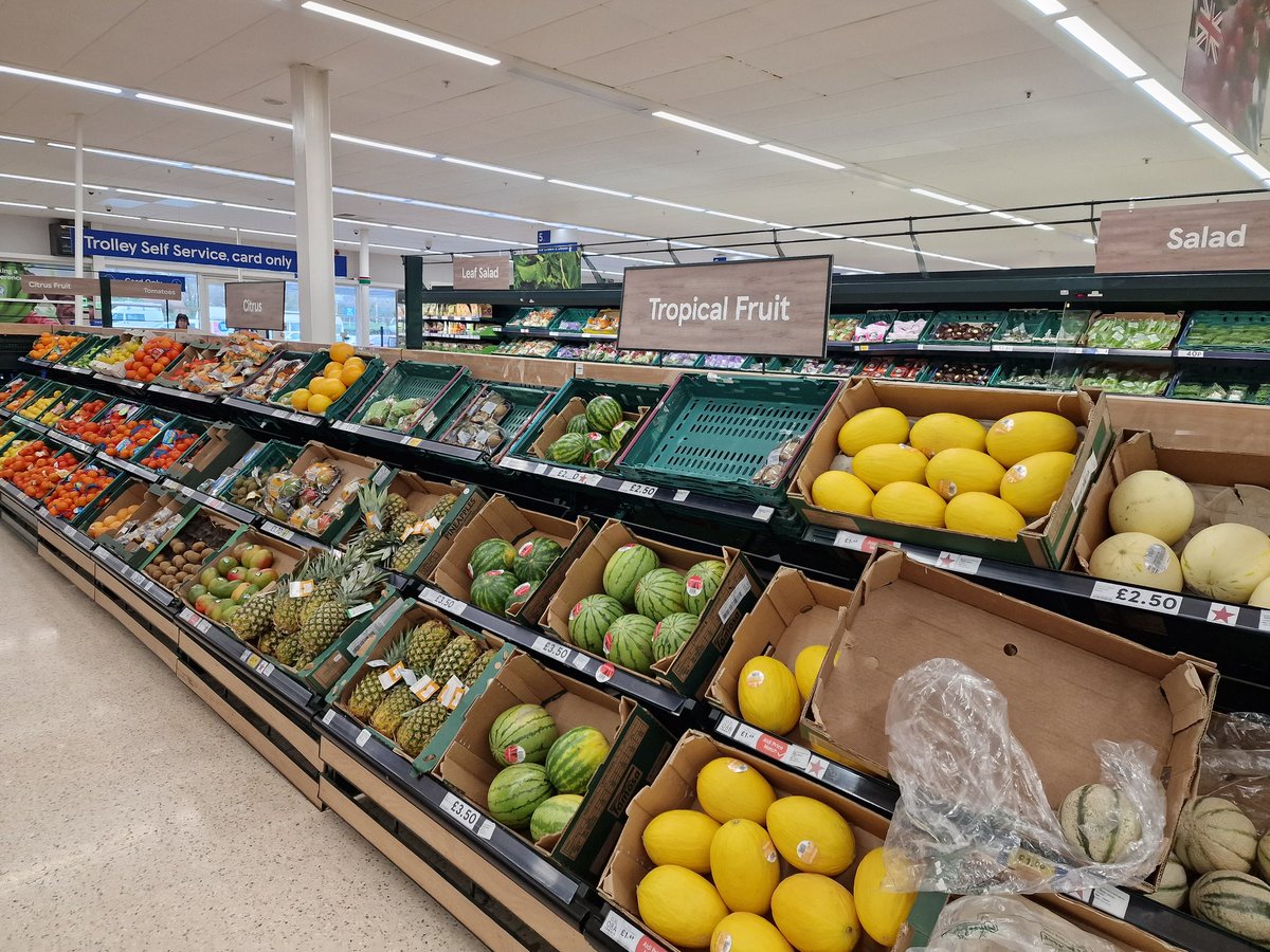 Hoggy 🇮🇱 🇬🇧 tweet media