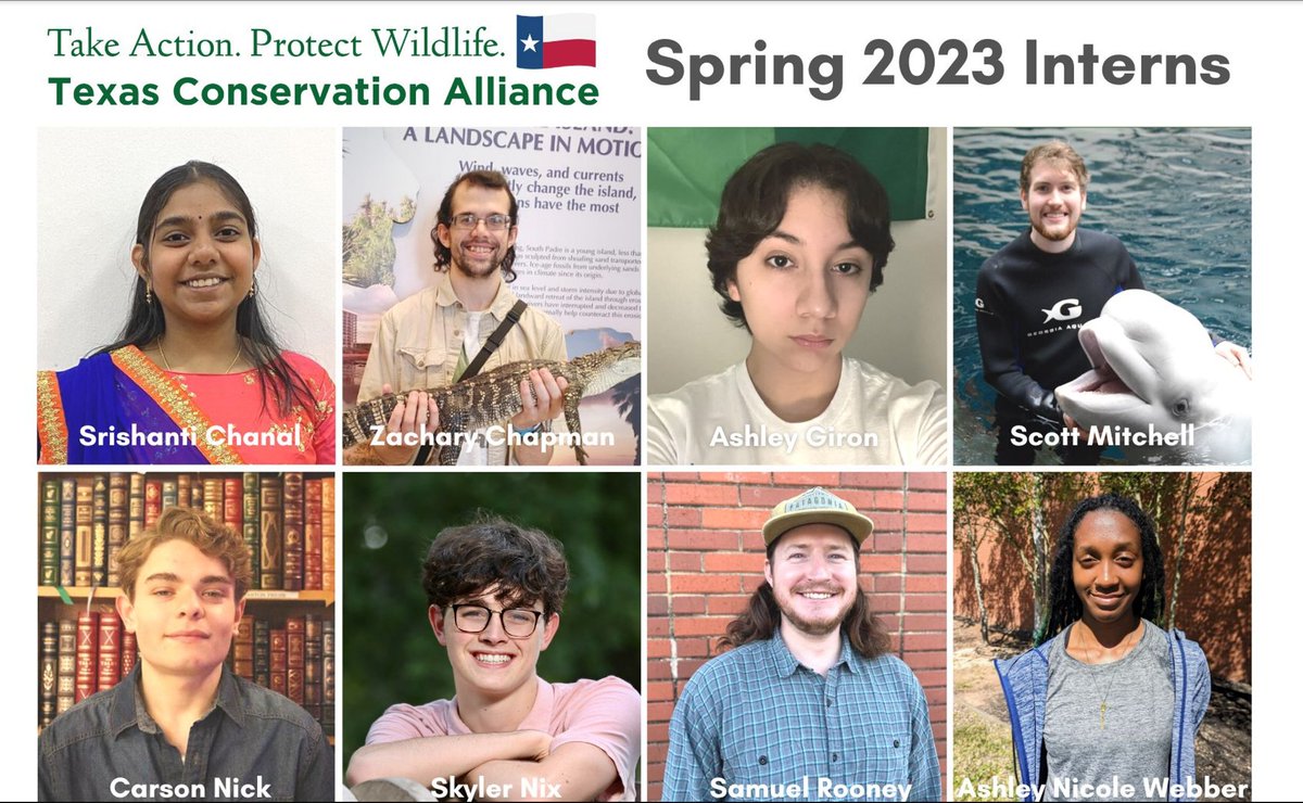 TCAtexas's tweet photo. This spring marks TCA's latest - and largest - intern cohort yet! These students will help Texas Conservation Alliance restore habitat for wildlife, lead Lights Out surveys for migrating birds, and share research with the public. Please welcome our TCA #interns! #WeAreTCA https://t.co/EiDu8Gvceu