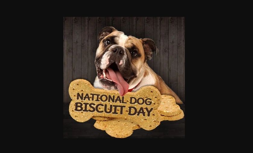 GHSdotcom's tweet image. Don't forget to give your best friend a treat today!
#NationalDogBiscuitDay