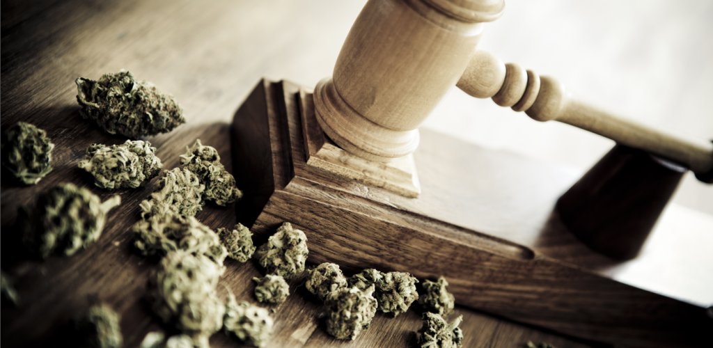 PotAdvisor's tweet photo. Check out the local cannabis laws as they pertain to your home state or where you're planning on taking your next vacation. Learn more today! #cannabislaws #cannabis #potadvisor #cannabislegal #cannabiscommunity #cannabisculture #cannabisusa
https://t.co/eO21RE96fL https://t.co/JxjeNys96r
