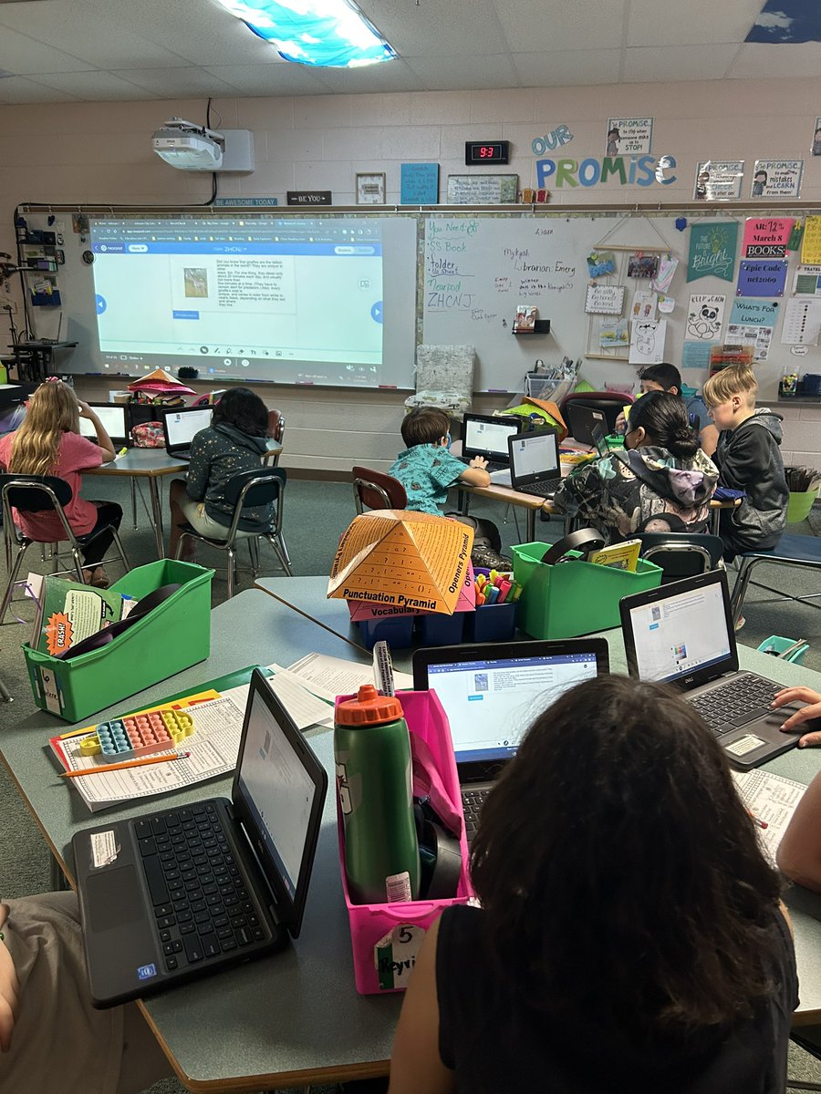 Kaytee Jones tweet media