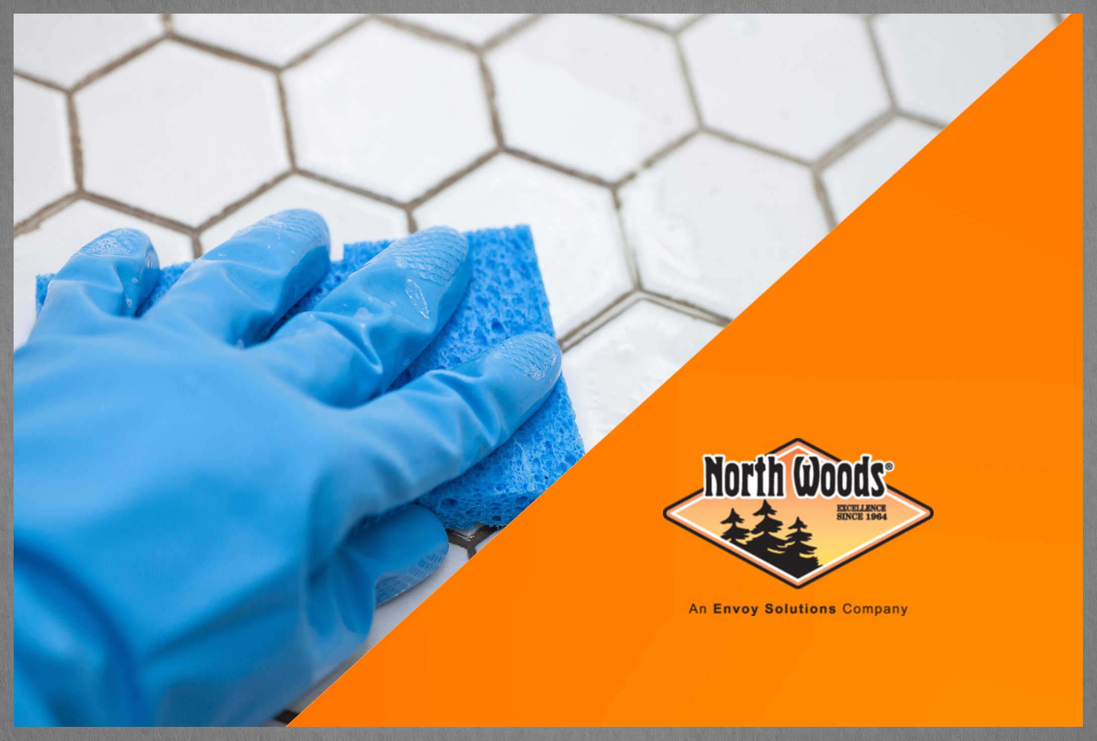 Mold Cleaner - North Woods, An Envoy Solutions Company