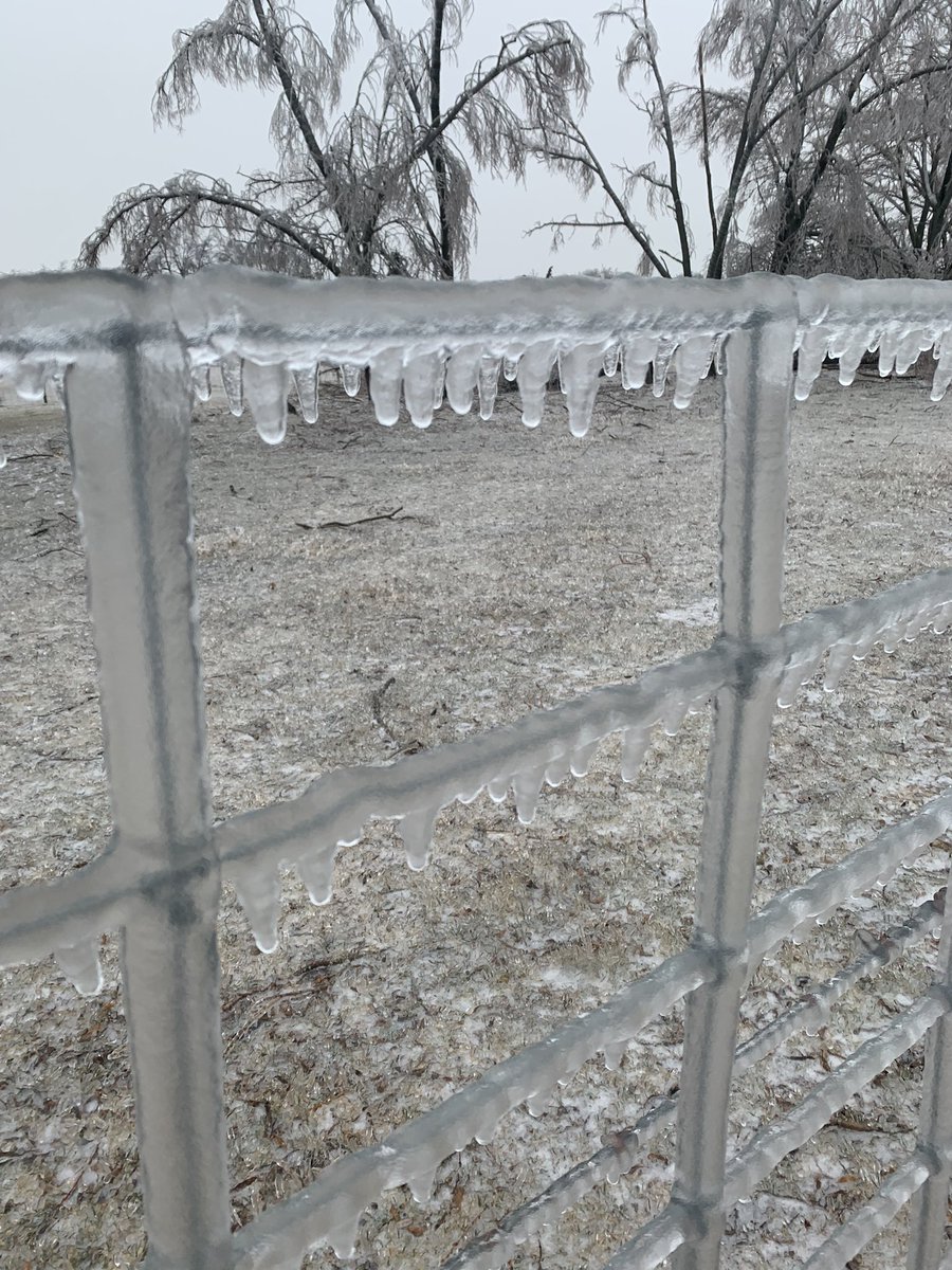Pasztor79's tweet photo. Woke up to no hydro but feeling pretty good about the lack of damage at home, till I made the trek 5 mins south to the lakeshore and pure destruction! #onstorm #icestorm23 🥶🥶🥶 https://t.co/ktqKFKFaBH