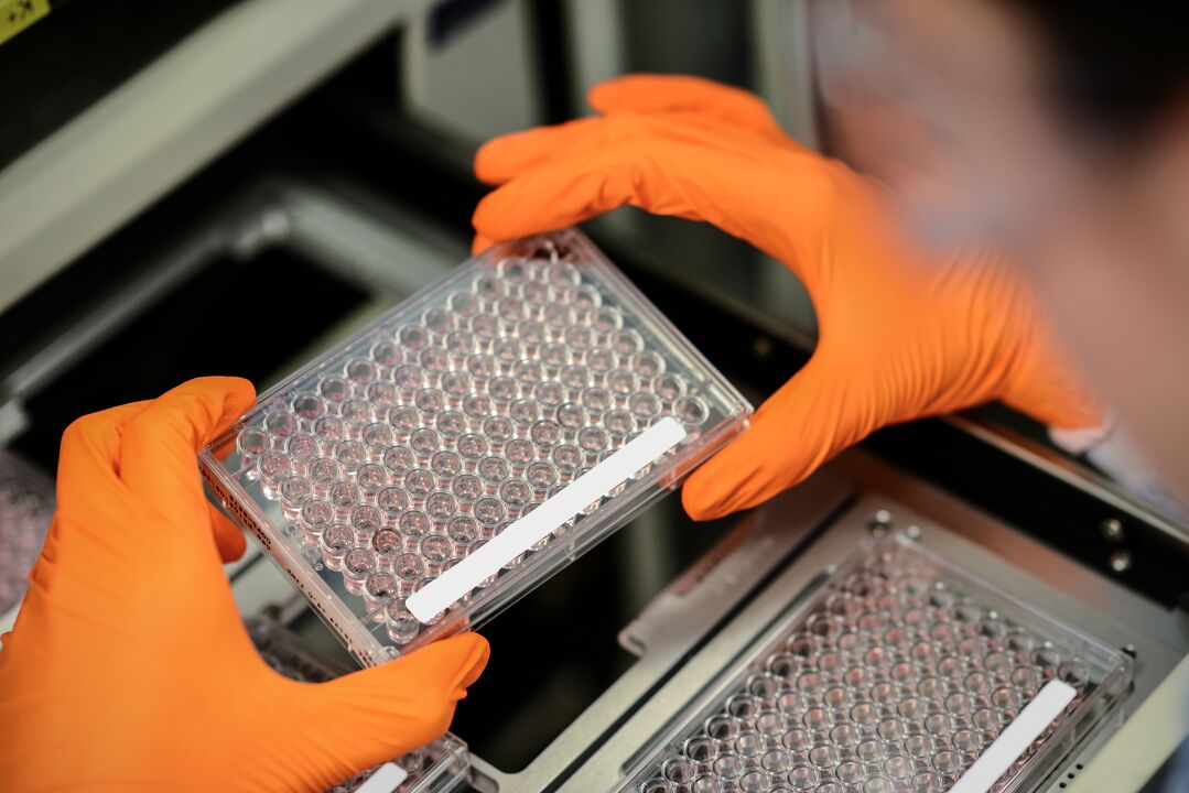 MalariaGEN (@malariagenomics) on Twitter photo Having issues with procurement and logistics for your #malaria genomics project?
NEW: We're working with <a href="/gatesfoundation/">Gates Foundation</a> to provide grants for researchers in endemic countries to procure equipment and specialist reagents:
More: malariagen.net/resources/fund… Having issues with procurement and logistics for your #malaria genomics project?
NEW: We're working with <a href="/gatesfoundation/">Gates Foundation</a> to provide grants for researchers in endemic countries to procure equipment and specialist reagents:
More: malariagen.net/resources/fund…