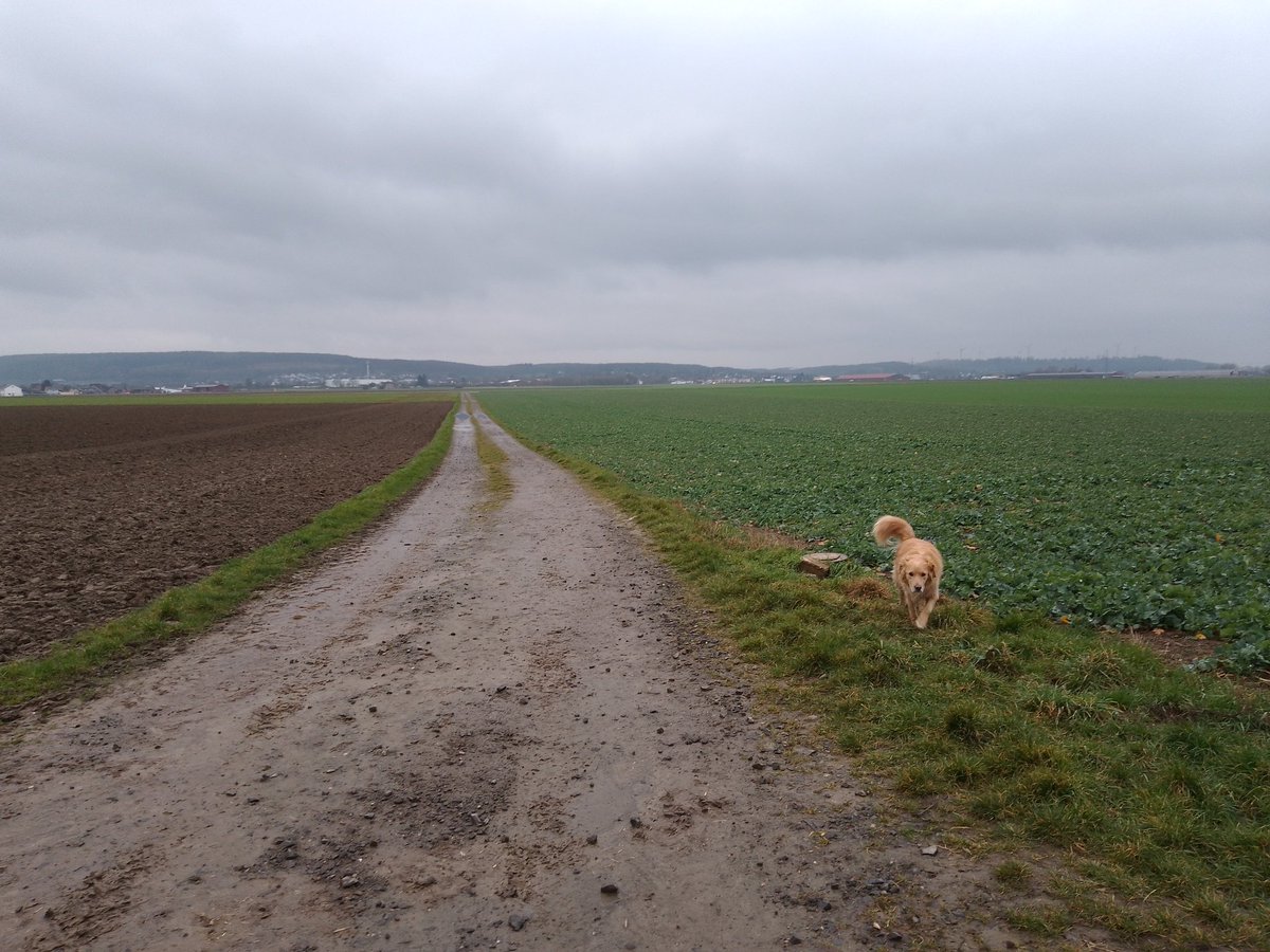 Hunderunde 🐾

Ab durch den Pratsch...