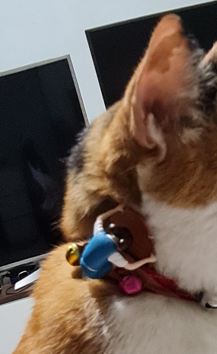 Lele Neko NFT tweet media