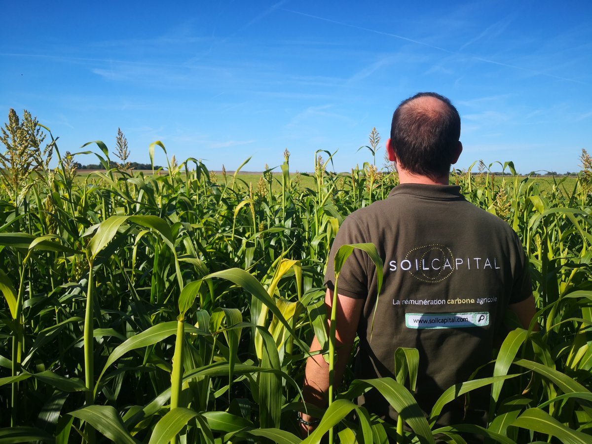 FermeDigitale's tweet photo. [LEVEE DE FONDS] 🚀@SoilCapital lève 5M€ en SérieA auprès de @ringcapital #Edaphon...
Objectif > renforcer l'accompagnement des grandes entreprises grâce à l'offre #CarbonInsetting qui accompagne l’IAA dans la transition bas carbone des chaînes d’appro🍴
https://t.co/JCYWi0qtem https://t.co/UZjHl1yRt9