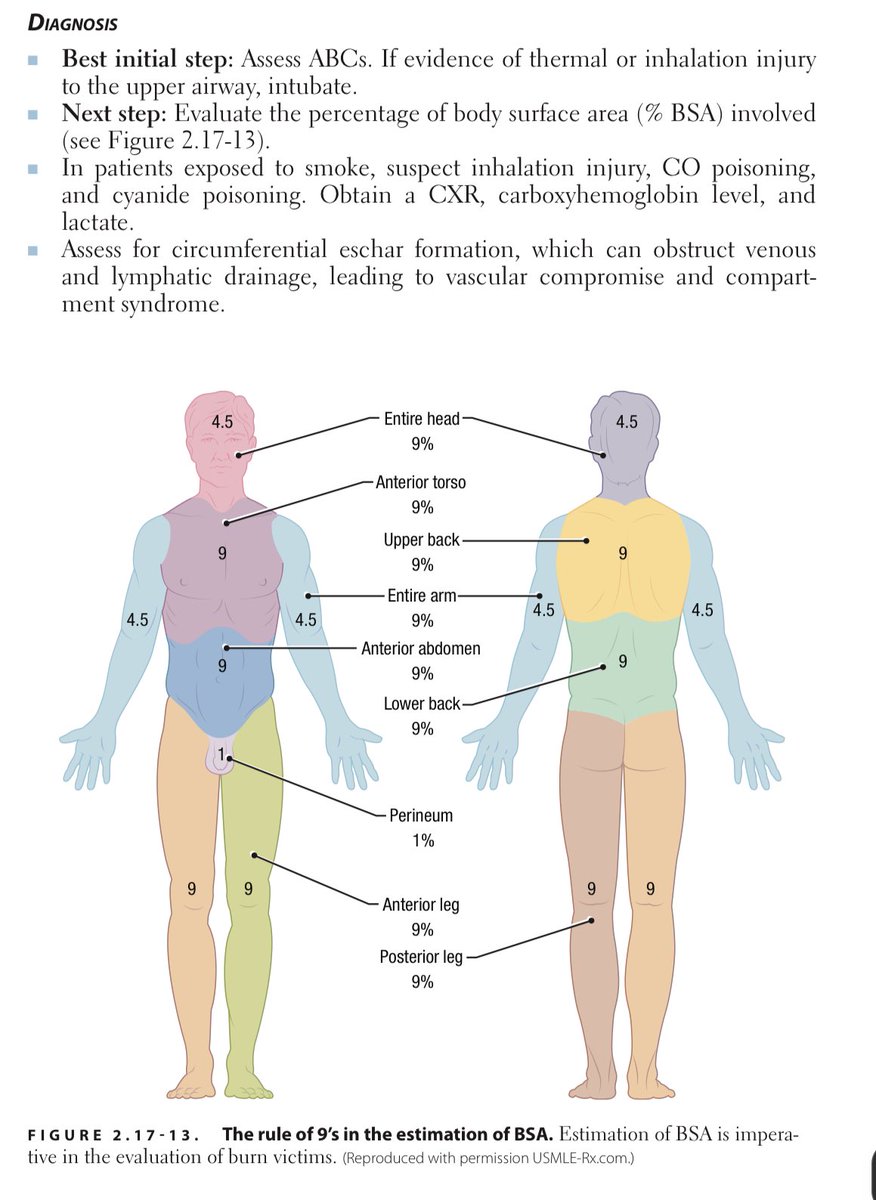 Innov_Medicine's tweet image. Rule of 9&apos;s and the Parkland Formula in Burns via stephbeggs

#TipsForNewDocs #MedEd #MedTwitter #medicine #medical #medicare #health #healthcare #FOAMed #ClinicalPearl #clinicaltips #MedStudents

H/t @Medical_MD1