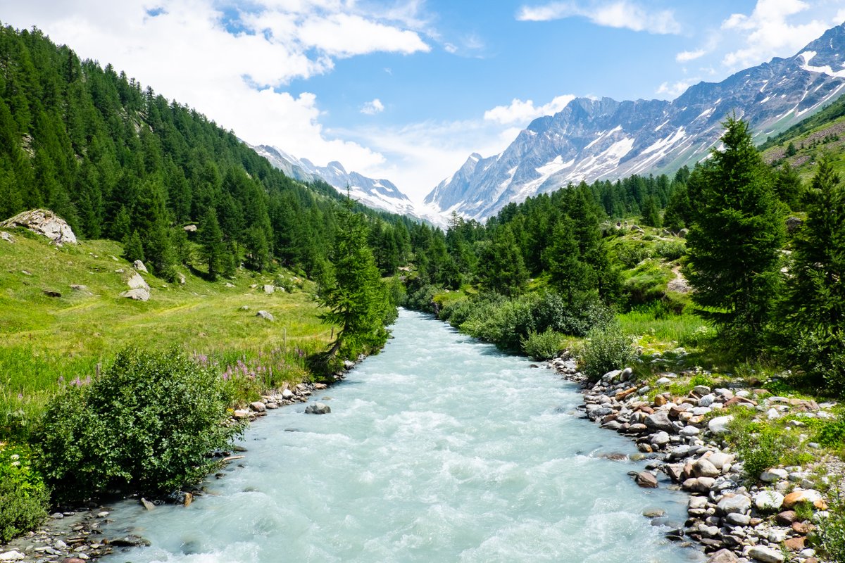 Machine learning approach to look at global patterns &amp; key drivers of stream nitrogen concentration. Model could be used to assess strategies to reduce nitrogen pollution in freshwater.  <a href="/RaziOptimus/">Razi Sheikholeslami</a> &amp; Jim Hall in <a href="/STOTEN_journal/">STOTEN</a>  sciencedirect.com/science/articl…