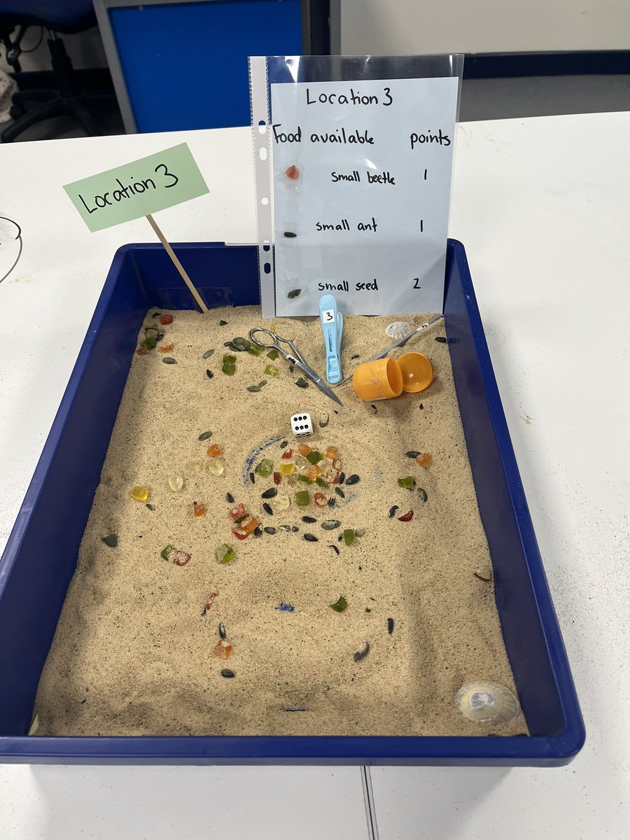 Ms Diamond tweet media