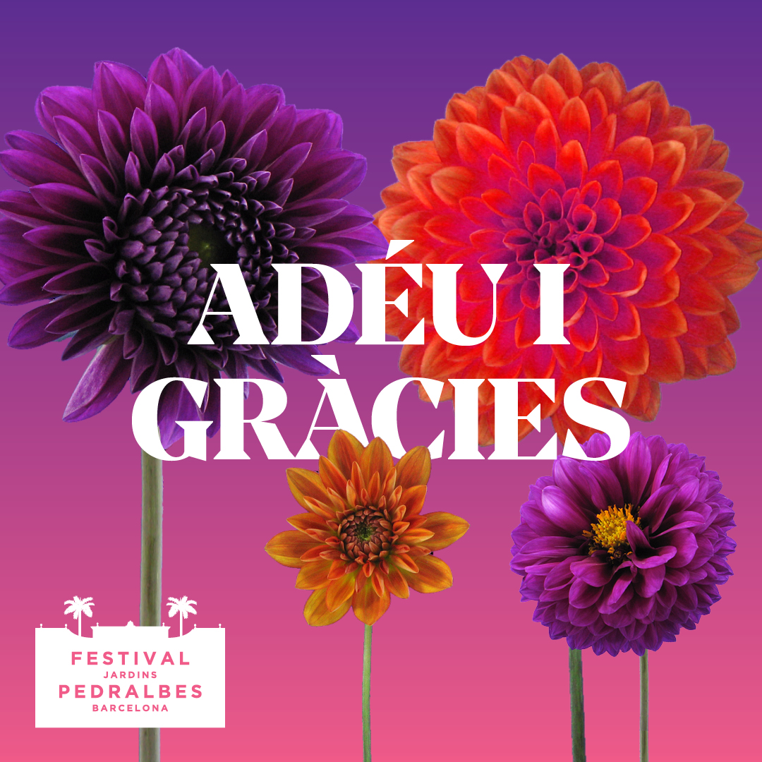 almaoccident's tweet photo. Adéu i gràcies.

Gràcies per acompanyar-nos durant 10 anys de Festival Jardins de Pedralbes, per el vostre suport i confiança.

✍🏽Equip Festival Jardins de Pedralbes https://t.co/qiOnqk1hDA