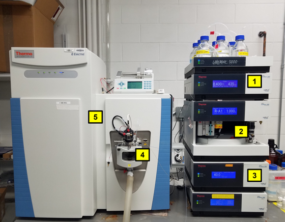 UMNTurf's tweet photo. Read Part 2 of "Using untargeted metabolomics to assess cold tolerance in perennial ryegrass" by 
@FreundSaxhaug on our #WinterTurf blog 
#PerennialRyegrass @UMNHorticulture
https://t.co/GVQmqFy7Qh https://t.co/bDV40LAFri