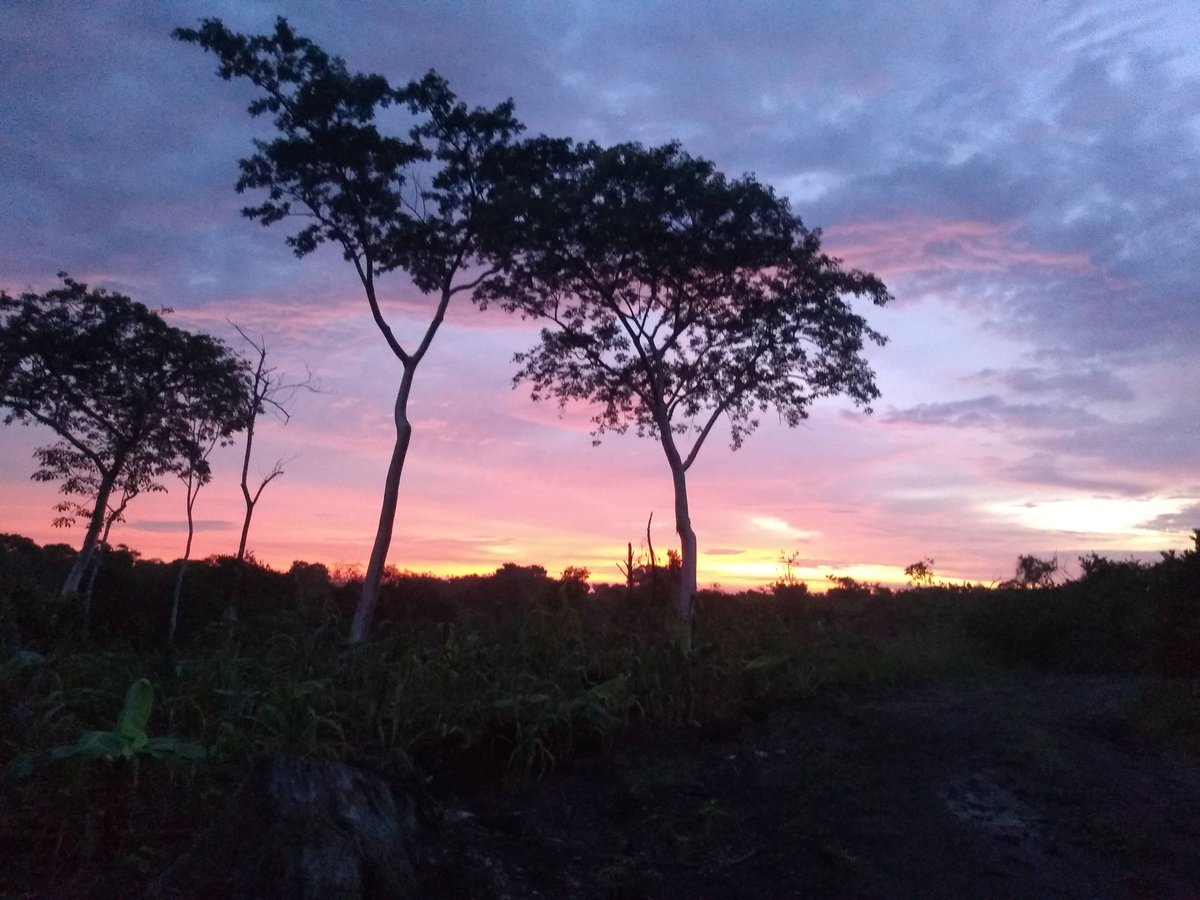 ali_rosaura's tweet photo. #HONORMagicCharlyPi Quiero mi #HONORMagic5Pro https://t.co/coYo1p3i9y