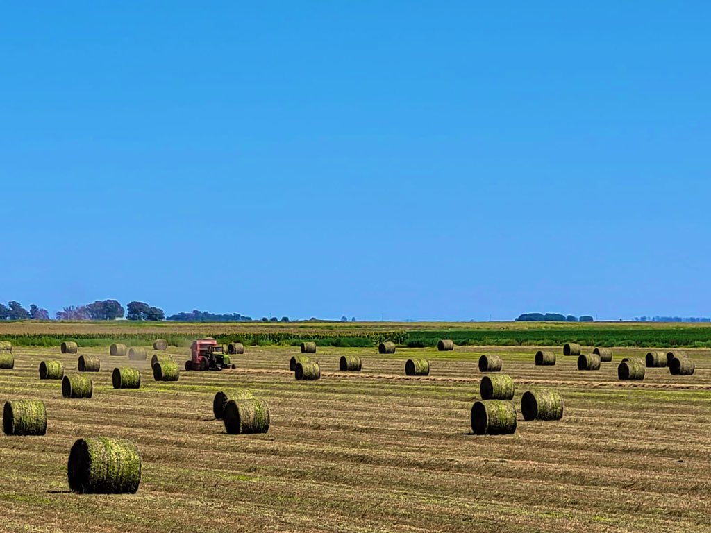 El que quiera me pega el chiflido…