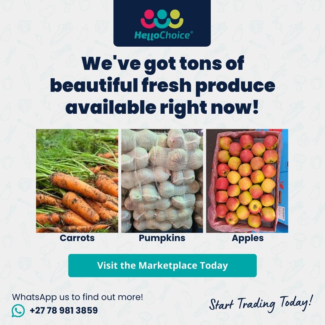 Visit market.hellochoice.co.za to find all the fresh produce you need.

Whether you're looking for basket loads, or bulk, we've got you covered. We'll even provide transport solutions should you need it.

#hellochoice #onlinemarketplace #freshproduce