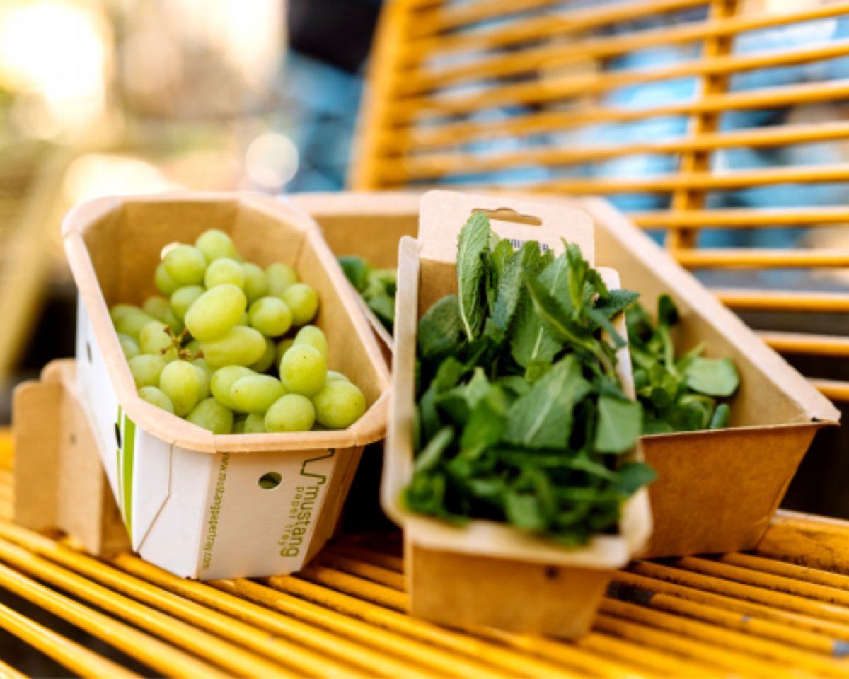 Mustang Italia s.r.l tweet media