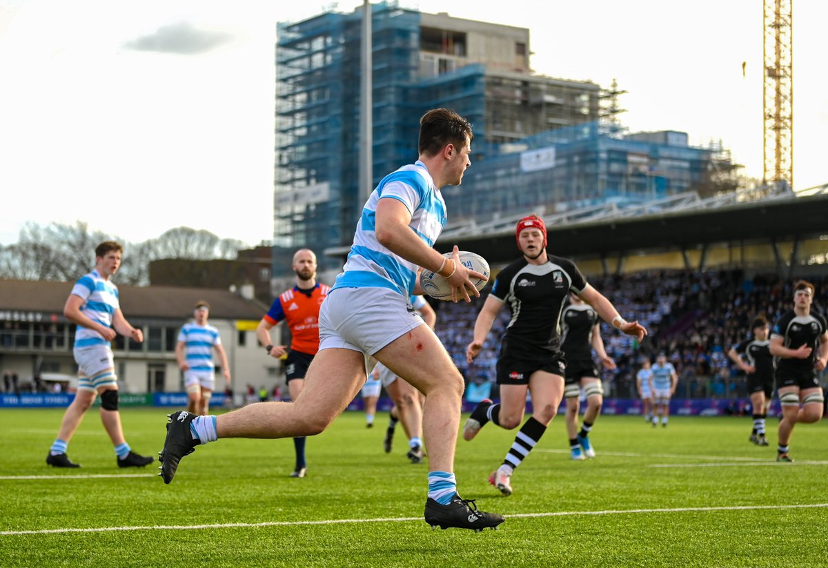 Leinster Domestic tweet media