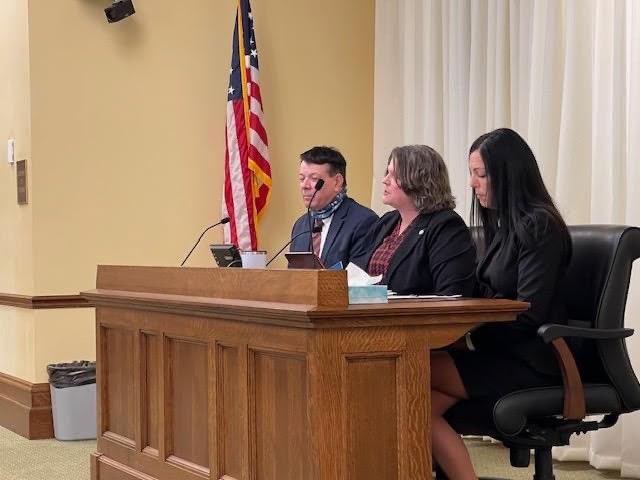 Grateful for the opportunity to share our story by testifying in support of HF879 in front of the House Education Finance Committee. HF879 relates to Local Optional Revenue and would mean additional revenue of approximately $845,000 to STMA!#knightspride