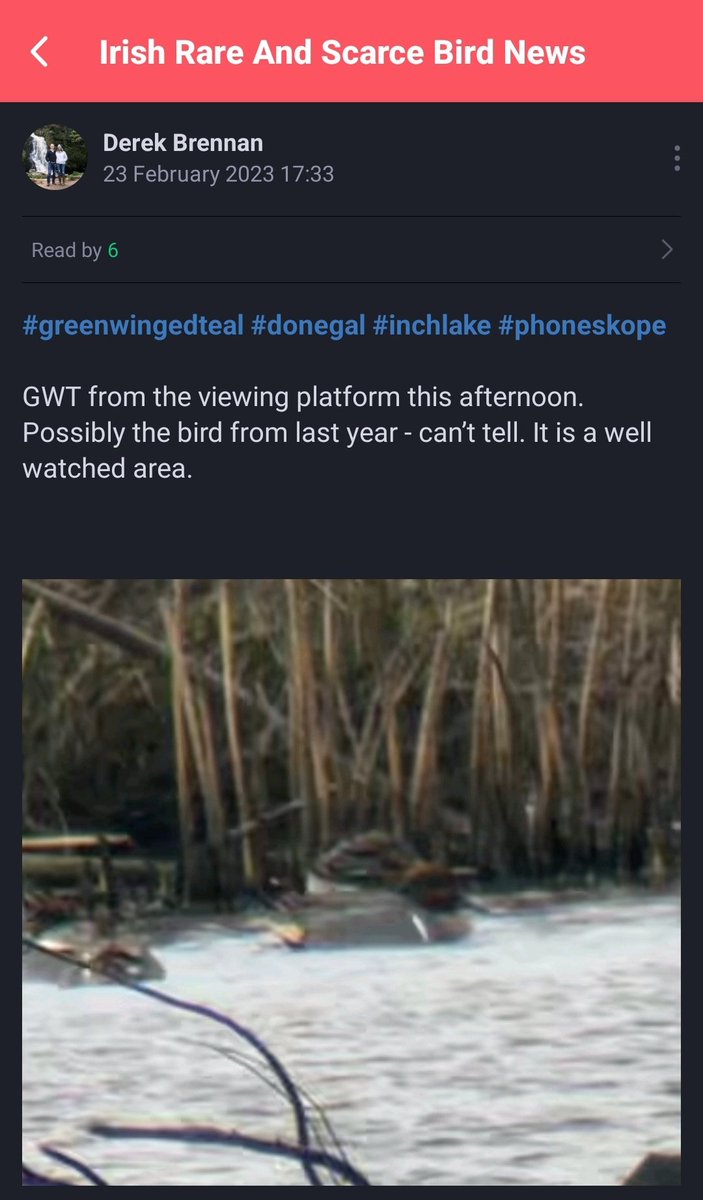 Birding Standards on Twitter "RT IRSBG1 Another entry for our