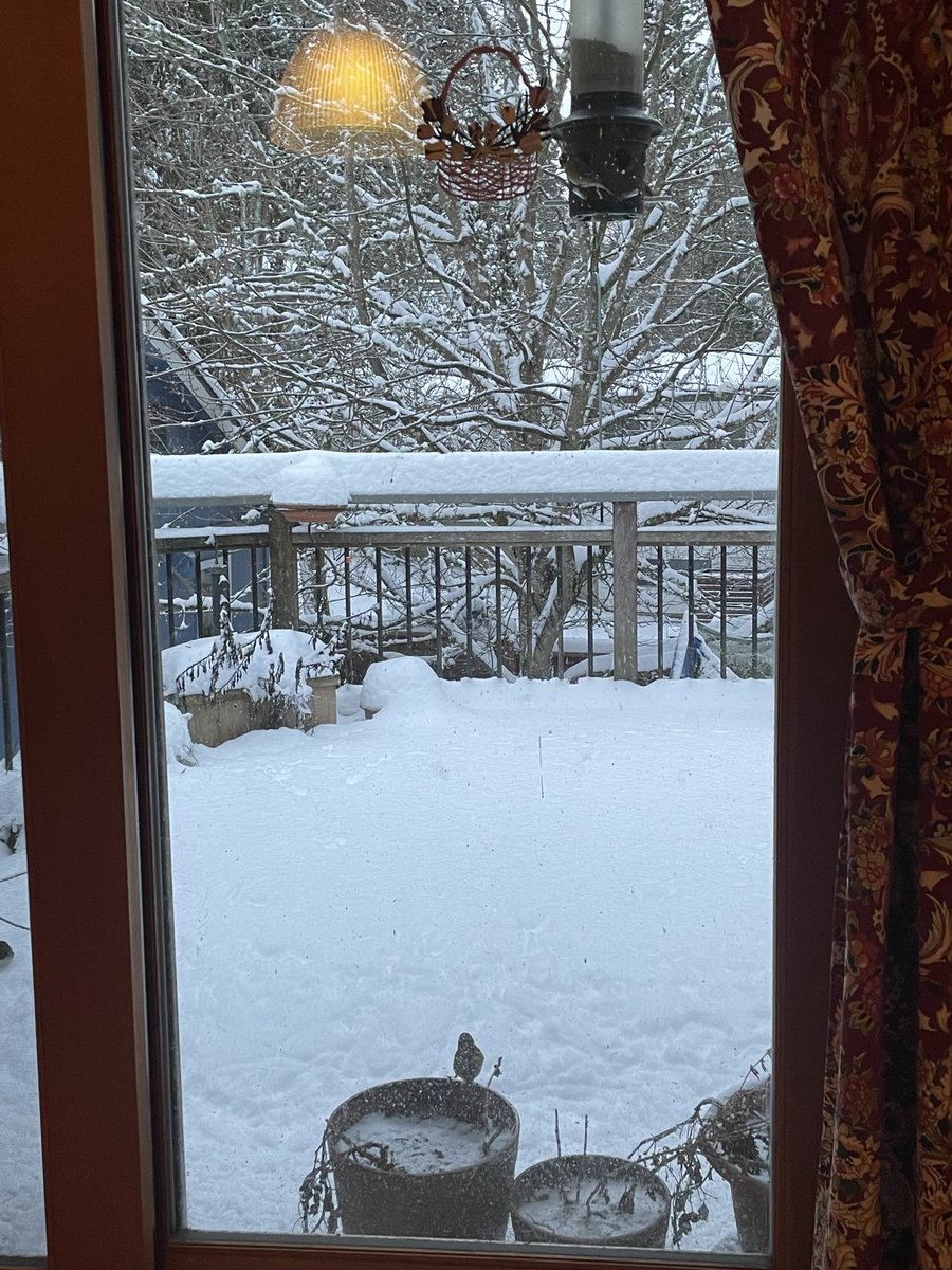 StedmanBarbara's tweet photo. @NWSPortland Hillsdale/SW Porland, 500‘. We have 5“. Didn’t start sticking until 4:30 pm yesterday but caught on fast! #PQRobs https://t.co/fC9rf25j2b