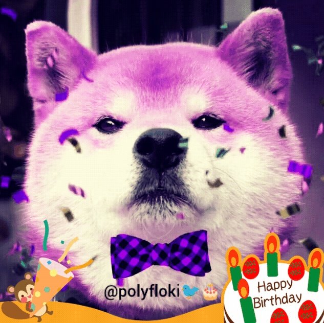 PolyFloki 💜 Doggone 👾 tweet media