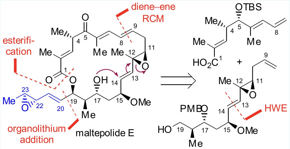 Total Synthesis tweet media