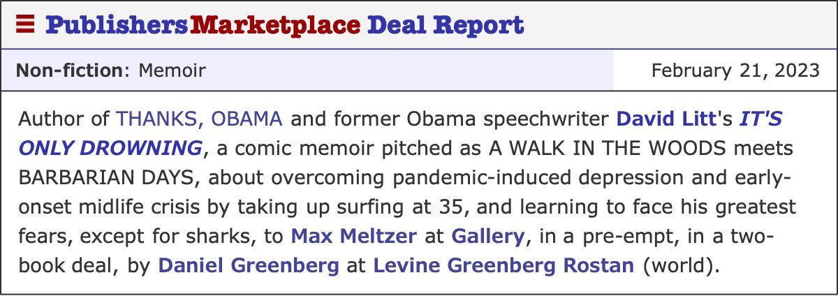 David Litt tweet media