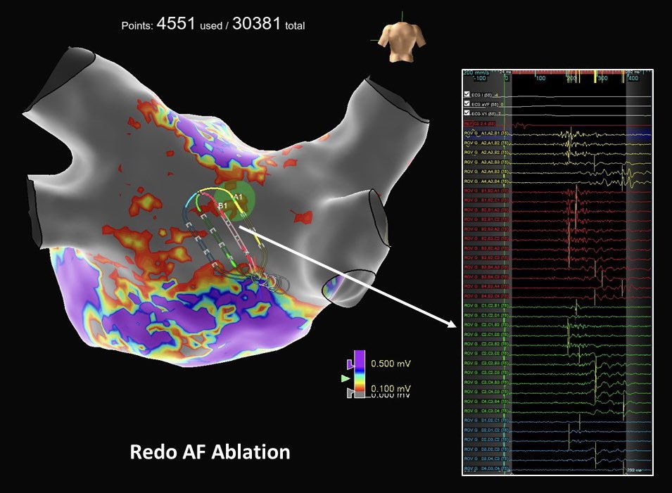 Margo Shemaria tweet media