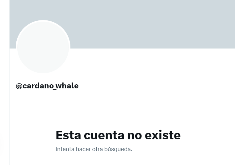 Lucas Macchiavelli 🇦🇷 tweet media