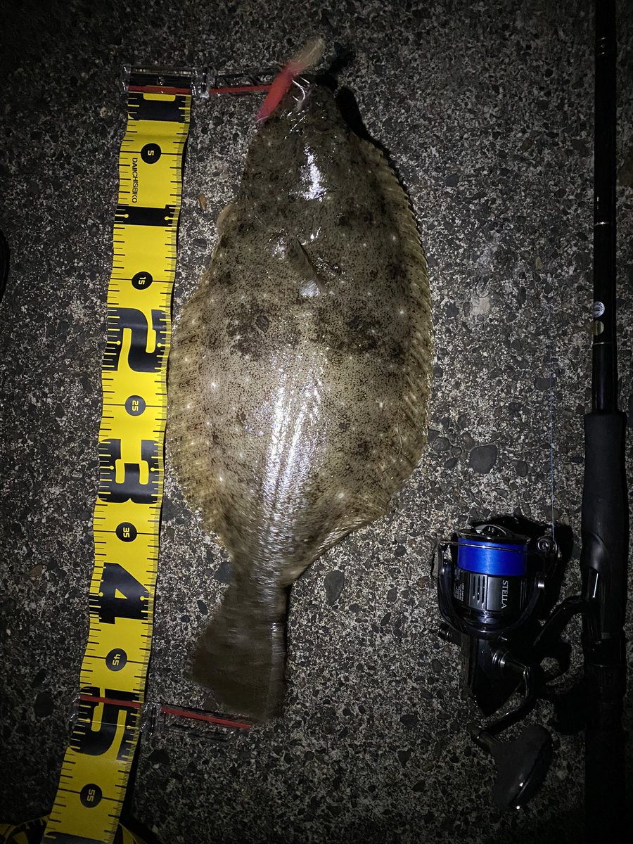 seabass_hirame's tweet photo. ヒラメ シーバス
#SM75
#ストライクヘッド
#RJ7
#22ステラ3000MHG
#22STELLA3000MHG
#ヤマガブランクス
#YAMAGABlanks
#EarlyPlus96m https://t.co/7gxYf91M8X
