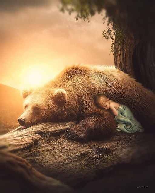 birdlovely534's tweet image. الجميع يهدأ أمام الإحتواء .. الجميع يرتاح بحضرة الشخصية الحنونة .. فكن ملجأً لكل من يعرفك 🧡

Everyone calms down in front of containment.. Everyone relaxes in the presence of a kind personality.. Be a refuge for everyone who knows you

#birdlovely534 #calms #down #containment