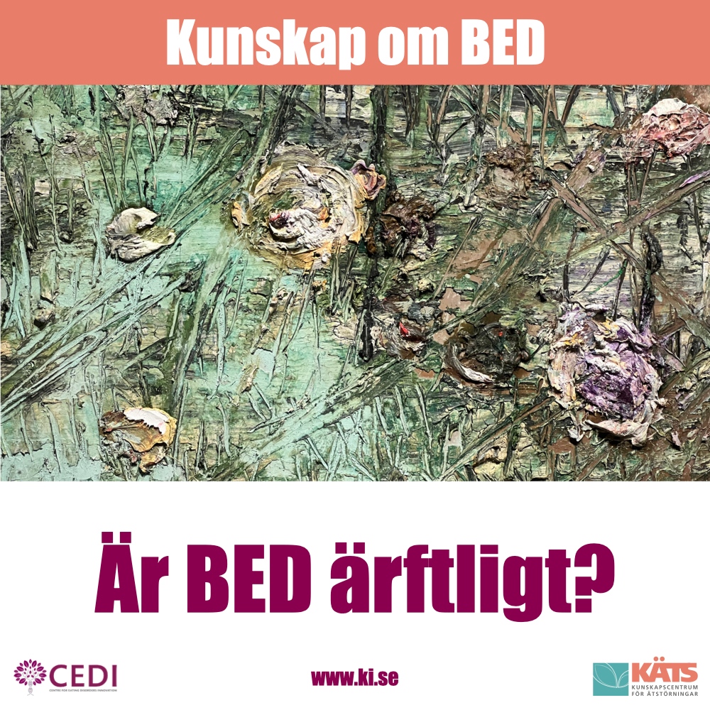 CEDI_KI photo