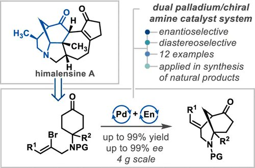 Massive congrats to Roman, Sam, and the team for their enantioselective total synthesis of himalensine A! 🎉

A new cyclization reaction enables efficient, enantioselective construction of the core - modelled by <a href="/KenYamazaki5/">Ken Yamazaki</a> and <a href="/TrevorAHamlin/">Trevor A. Hamlin</a>.

pubs.acs.org/doi/10.1021/ja…
